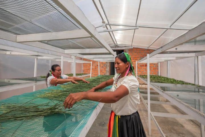 COP30: the business case for investing in climate adaptation is compelling